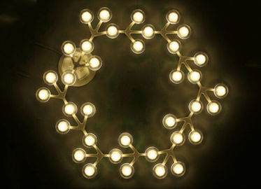 LED 그물 원형 LED를 가진 거는 천장 빛은 거실을 위한 백색을 데웁니다
