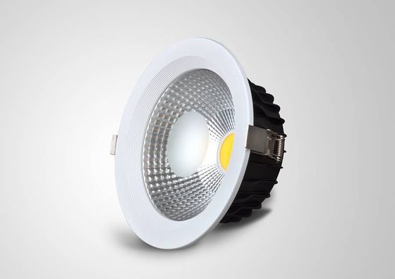 중단한 거푸집 주물 25Watt LED Downlights ra는 80 IP45 스튜디오를 위한 백색 Dimmable를 데웁니다